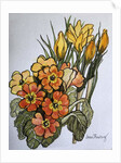 Crocus and Primroses by Joan Thewsey