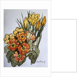 Crocus and Primroses by Joan Thewsey