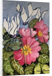 Cyclamen and Primrose by Joan Thewsey