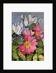 Cyclamen and Primrose by Joan Thewsey