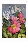 Cyclamen and Primrose by Joan Thewsey