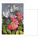 Cyclamen and Primrose by Joan Thewsey