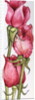 Three Red Roses by Joan Thewsey