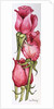 Three Red Roses by Joan Thewsey