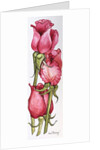 Three Red Roses by Joan Thewsey