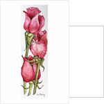 Three Red Roses by Joan Thewsey