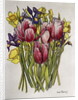 Tulips, Daffodils and Iris by Joan Thewsey