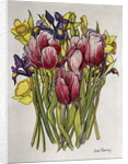 Tulips, Daffodils and Iris by Joan Thewsey