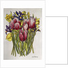Tulips, Daffodils and Iris by Joan Thewsey