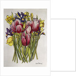 Tulips, Daffodils and Iris by Joan Thewsey