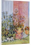 Marguerites in the Cottage Garden by Joan Thewsey