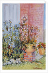 Marguerites in the Cottage Garden by Joan Thewsey