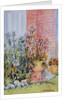 Marguerites in the Cottage Garden by Joan Thewsey