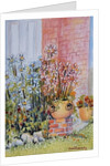 Marguerites in the Cottage Garden by Joan Thewsey