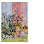 Marguerites in the Cottage Garden by Joan Thewsey