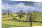 Suffolk Spring Sky by Joan Thewsey