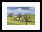 Suffolk Spring Sky by Joan Thewsey