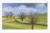 Suffolk Spring Sky by Joan Thewsey
