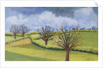 Suffolk Spring Sky by Joan Thewsey