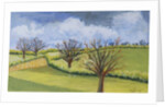 Suffolk Spring Sky by Joan Thewsey