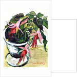 Fuchsias by Joan Thewsey