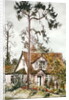 Cottage with Fir Tree by Joan Thewsey