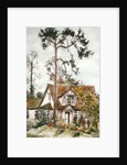 Cottage with Fir Tree by Joan Thewsey