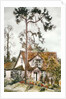 Cottage with Fir Tree by Joan Thewsey
