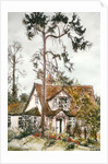 Cottage with Fir Tree by Joan Thewsey