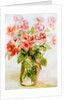 Pink Roses by Joan Thewsey
