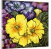 Three Yellow Primroses surrounded by mauve and purple primroses and leaves by Joan Thewsey