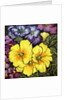 Three Yellow Primroses surrounded by mauve and purple primroses and leaves by Joan Thewsey