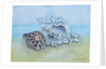 Two Seashells by Joan Thewsey