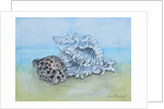 Two Seashells by Joan Thewsey