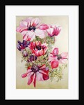 Anemones by Joan Thewsey