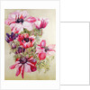 Anemones by Joan Thewsey