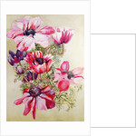 Anemones by Joan Thewsey
