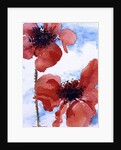 Poppies by Joan Thewsey