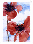 Poppies by Joan Thewsey
