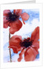 Poppies by Joan Thewsey