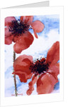 Poppies by Joan Thewsey