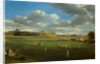 Cricket Match at Edenside, Carlisle, c.1844 by Samuel Bough