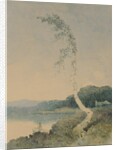 Silver Birch by a Lake, 1845 by William James Blacklock