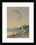 Silver Birch by a Lake, 1845 by William James Blacklock