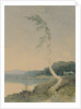 Silver Birch by a Lake, 1845 by William James Blacklock