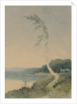 Silver Birch by a Lake, 1845 by William James Blacklock