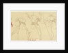 Botanical Studies, 1900-30 by James Atherton