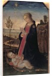 Madonna and Child in a Landscape by Jacopo del Sellaio