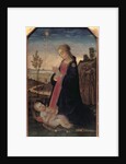 Madonna and Child in a Landscape by Jacopo del Sellaio