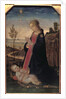 Madonna and Child in a Landscape by Jacopo del Sellaio